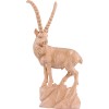 Ibex - natural - 25 cm