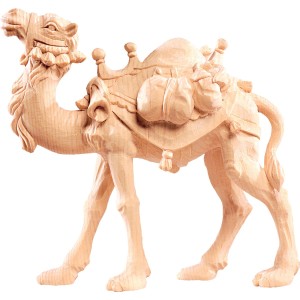Camel R.K. - natural - 12 cm