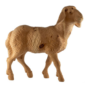 Schaf aus Zirbelkiefer - natur - 68 cm