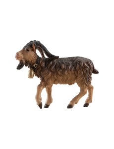 IN Billy goat