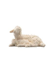 IN Sheep laying with lamb sleeping