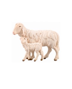 SI Sheep running with lamb