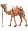 SI Camel