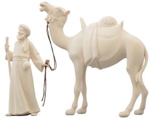 LI Camelliere con camello