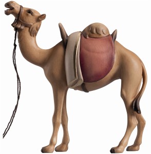 LI Camel