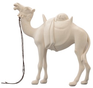 LI Camel