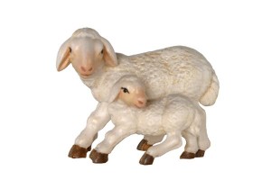 Gruppo pecore in piedi