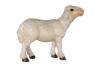 Sheep standing baroque crib n.b.