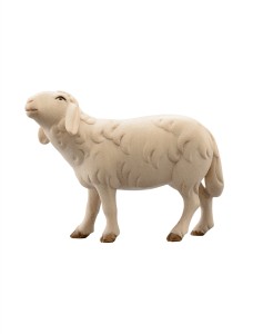 LI Schaf laufend - mehrtönig gebeizt - 12 cm