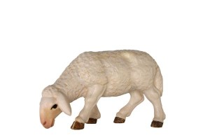 Sheep grazing n.b. - colorato - 11 cm